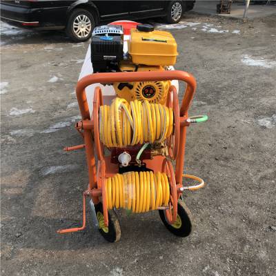 园林果树高压喷雾器 城市绿化带喷雾机 浩发图1