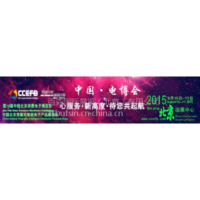 2015北京智能家居展图3