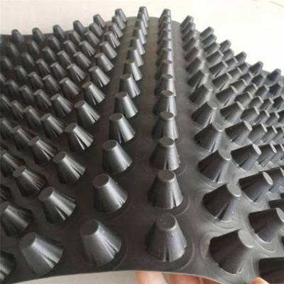 地下车库排水板 塑料排水板 海绵城市建筑材料供应商图3