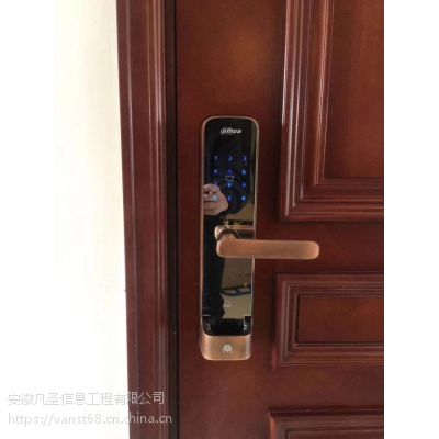 合肥智能锁厂家大华DH-IPC-HDW1230C-A 高清(200万像素)红外海螺网络摄像机图3