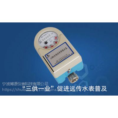 DN25485直读式智能网络水表价格是多少图1