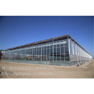 海南纹络型智能玻璃温室大棚网络化控制、4米立柱型建造公司