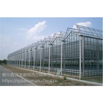 海南纹络型智能玻璃温室大棚网络化控制、4米立柱型建造公司图2