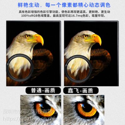 鑫飞智显壁挂广告机超薄窄边55寸XF-BG55D多媒体智能网络液晶播放器图3