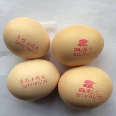 上位机信号通讯喷码机_励硕LS-K127数据信号通信打码机图3