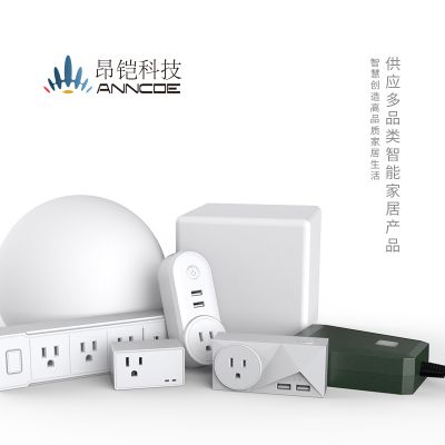 昂铠智能wifi插座Alexa语音智能插座 手机定时开关wifi插座 远程控制智能家居插座图3
