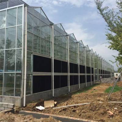 温室大棚温室玻璃大棚 玻璃温室的平方价格 农业智能玻璃温室大棚定制图2
