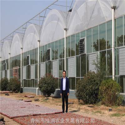 ***玻璃温室 农业玻璃大棚 智能温室玻璃大棚育苗玻璃大棚价格图3