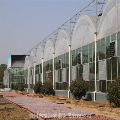 ***玻璃温室 农业玻璃大棚 智能温室玻璃大棚育苗玻璃大棚价格图2