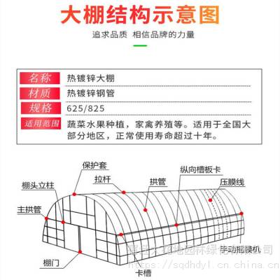 农业钢架大棚 温室钢架大棚骨架