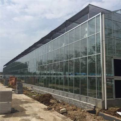 文洛智能温室生态智能温室 智能连栋温室 农业智能温室大棚图3