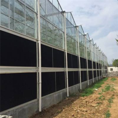 文洛智能温室生态智能温室 智能连栋温室 农业智能温室大棚图2