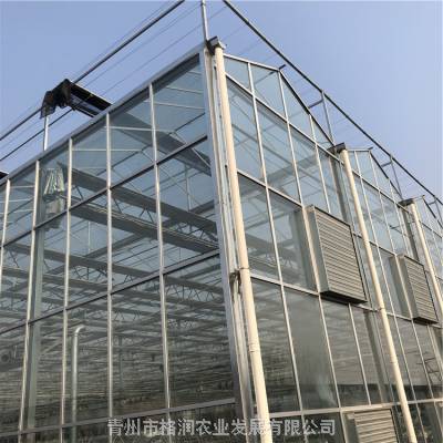 郑州农业玻璃温室大棚配件供应 新乡玻璃连栋温室大棚配件 郑州***玻璃温室大棚承建图2