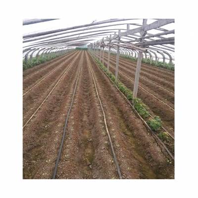 农业温室大棚智能水肥一体化滴灌设备供应图2