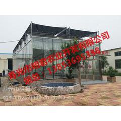 蔬菜智能温室大棚:有信誉度的温室大棚建设山东提供图1