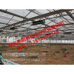 蔬菜智能温室大棚:有信誉度的温室大棚建设山东提供图3