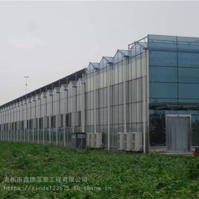 农业大棚 玻璃智能温室 智能连栋大棚造价 蔬菜育苗温室
