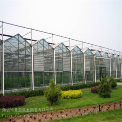 圣亚农业用自动化智能化玻璃温室_抗氧化玻璃温室厂家价格