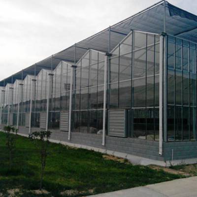 玻璃大棚玻璃 鑫泽农业温室 智能玻璃温室大棚价格 智能玻璃温室大棚承建图2