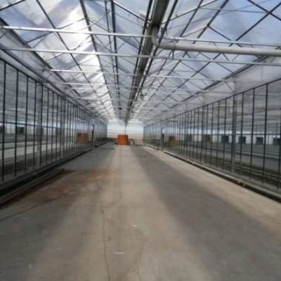 玻璃大棚玻璃 鑫泽农业温室 智能玻璃温室大棚价格 智能玻璃温室大棚承建图1