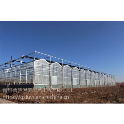 江西吉安现代农业智能化温室大棚物联网控制、中空8mmPC板顶部覆盖型建造单位图3