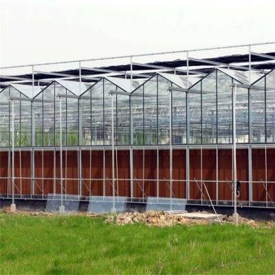 涿州市光伏农业玻璃温室大棚 龙鑫温室 智能温室大棚 pc阳光板温室厂家搭建