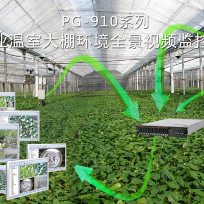 农业温室大棚环境全景视频监控系统 智能大棚气象控制器