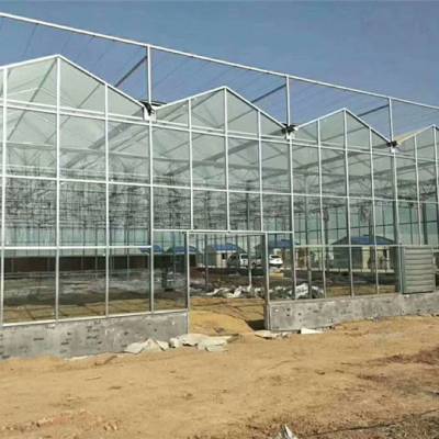 青州瀚洋农业玻璃温室(图)-智能温室工程-湖北智能温室图1