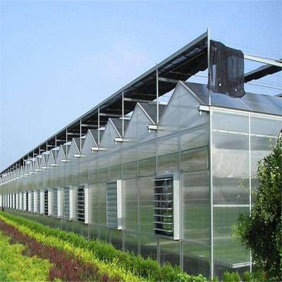 智能玻璃大棚方案设计 金纳 农业日光智能玻璃大棚施工队