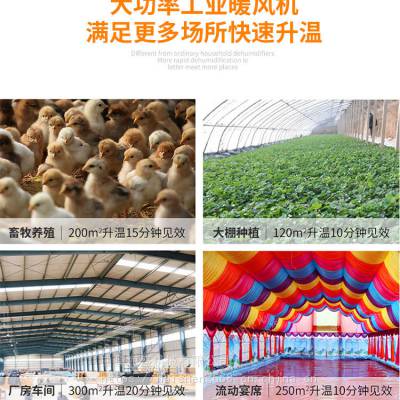 农业种植控温煤油暖风机 智能恒温取暖暖风机 养猪场取暖暖风机图2