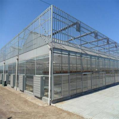 智能农业玻璃温室 ***花卉种植玻璃温室 纹洛式生态玻璃温室