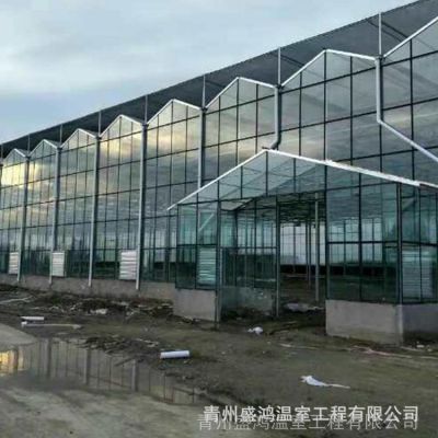 蔬菜草莓定制光伏阳光温室 ***安装智能阳光温室 农业热镀锌温室图3