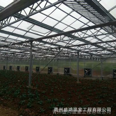 蔬菜草莓定制光伏阳光温室 ***安装智能阳光温室 农业热镀锌温室图2