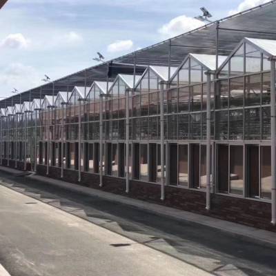 玻璃温室大棚工程 玻璃连栋温室建设 农业智能温室暖棚 生态餐厅