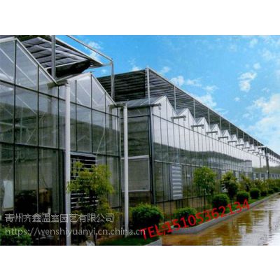 农业温室_智能温室_连栋温室