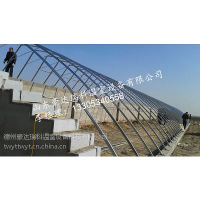 农业温室,智能温室,日光温室,农业规划图1