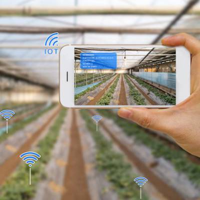 农业大棚农田自动化智能灌溉控制节水系统