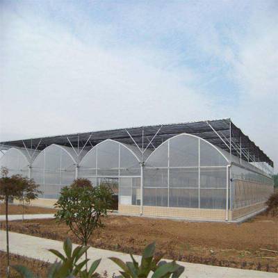 拱顶连栋薄膜温室 蔬菜花卉温室大棚 现代农业温室大棚 内外遮阳智能系统
