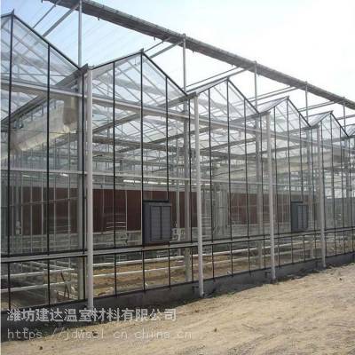 建达JD 智能玻璃蔬菜大棚 现代化农业大棚 玻璃大棚骨架厂家图3