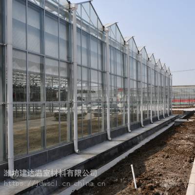 建达JD 智能玻璃蔬菜大棚 现代化农业大棚 玻璃大棚骨架厂家图2