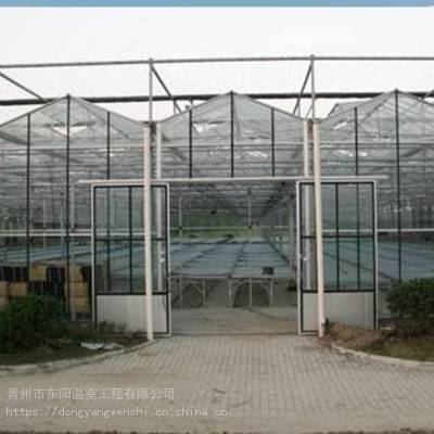 连栋玻璃温室 花卉大棚 生态餐厅 农业连栋玻璃温室大棚图3