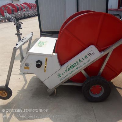 水肥一体化滴灌设备 霖丰LF-ZN-11型智能灌溉施肥机图2