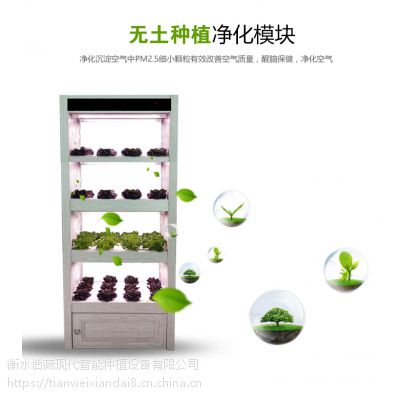 学校科研器材全智能生态菜养柜无土栽培设备智能蔬菜种植设备图2
