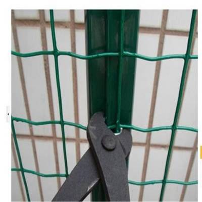 优盾厂家批发湖州养鸡铁丝网围栏@环保绿色铁网围栏@荷兰网图3