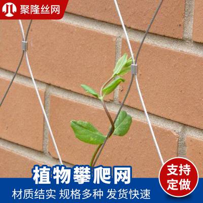 绿色环保装饰耐冲击聚隆不锈钢绳墙体绿植攀爬网供应