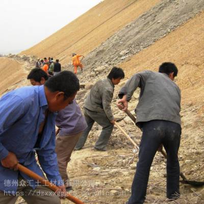 公路边坡智能回复绿化椰丝毯 生态植草毯-青海西宁植物纤维毯 抗冲生态毯