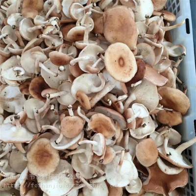 免人工操作智能节能 环保热泵食用菌烘干机 全自动运行图3