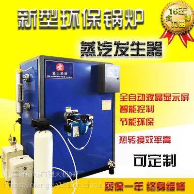 厂家供应***环保智能锅炉 干洗店用蒸汽发生器 中压蒸汽机