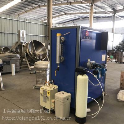 厂家供应***环保智能锅炉 干洗店用蒸汽发生器 中压蒸汽机图3