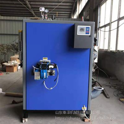 全自动智能控制蒸汽机 环保节能锅炉 商用发气设备 蒸汽发生器
